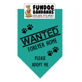 Wholesale Pack - WANTED Forever Home; Please Adopt Me Bandana