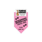 Wholesale Pack - WANTED Forever Home; Please Adopt Me Bandana