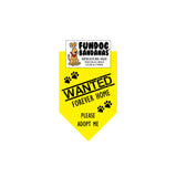 Wholesale Pack - WANTED Forever Home; Please Adopt Me Bandana