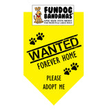 Wholesale Pack - WANTED Forever Home; Please Adopt Me Bandana