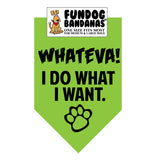 Wholesale Pack - Whateva!  I DO WHAT I WANT Bandana