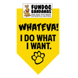 Wholesale Pack - Whateva!  I DO WHAT I WANT Bandana