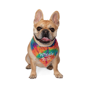 Wholesale 10 Pack - Wiggle Butt Bandana - Assorted Colors