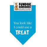Turquoise one size fits most dog bandana with You look like I could use a treat in white ink.