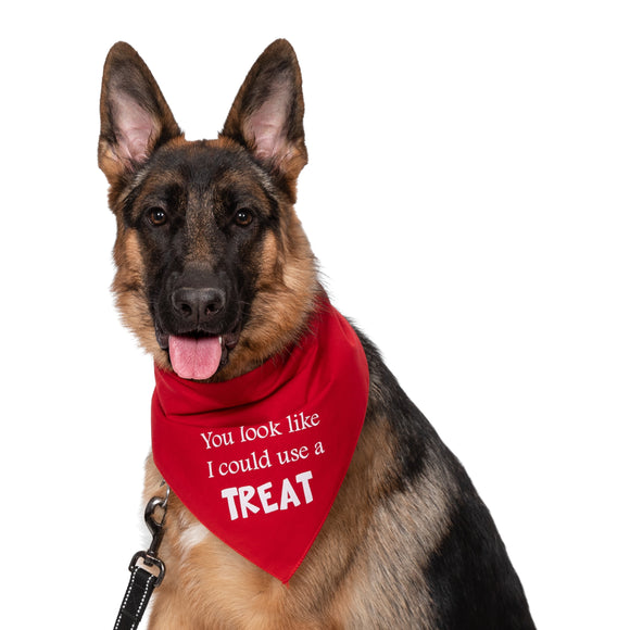 Wholesale 10 Pack - You Look Like I could Use a Treat Bandana - Assorted Colors