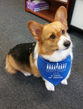 Chanukah - 8 Days of Treats Bandana - FunDogBandanas