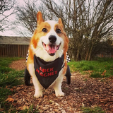 Chick Magnet Bandana - FunDogBandanas