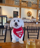 Drinking Buddy Bandana