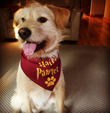 Hairy Pawter Bandana - FunDogBandanas