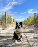 It's Treat-O-Clock Somewhere Bandana