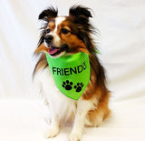 Lime Green one size fits most dog bandana with Friendly and two paws in black ink on a miniature australian shepherd.