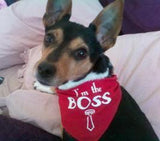 I'm the Boss Bandana - FunDogBandanas