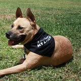 I Can't Handle My Licker Bandana - FunDogBandanas